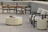 Outdoor Palm Lounge Chair