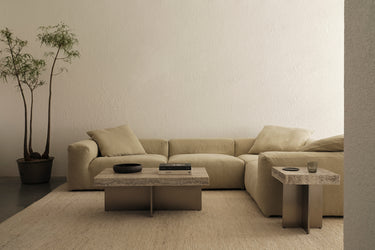 Beige corner sectional sofa beside a tall potted plant, wide shot