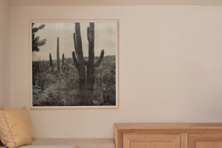 Cacti Series - Arizona