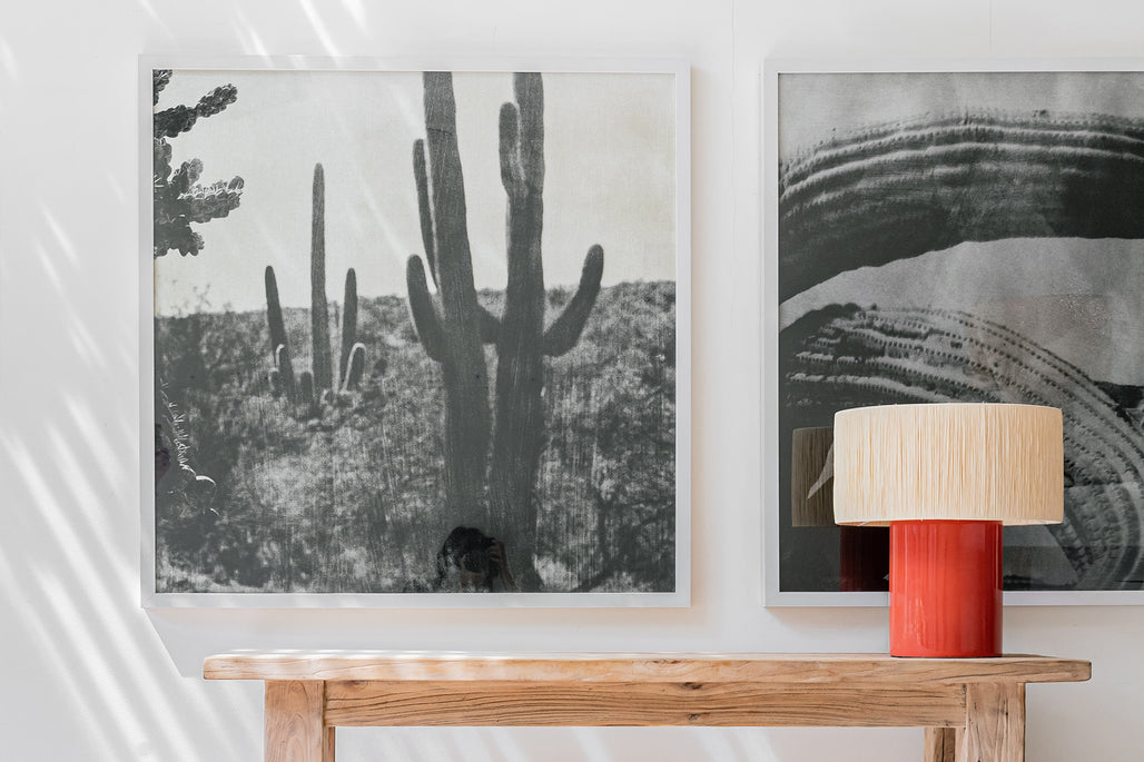 Cacti Series - Arizona