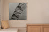 Cacti Series - The Cactus Spine