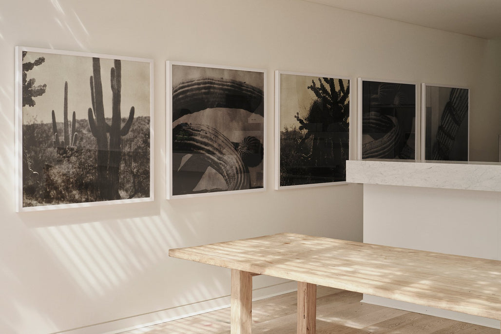 Cacti Series - Arizona 2