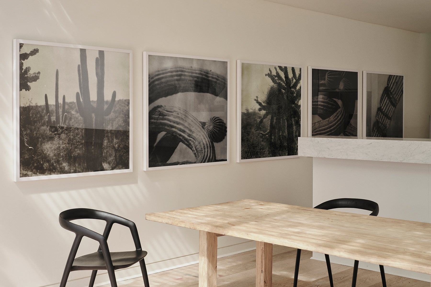 Cacti Series - The Cactus Spine