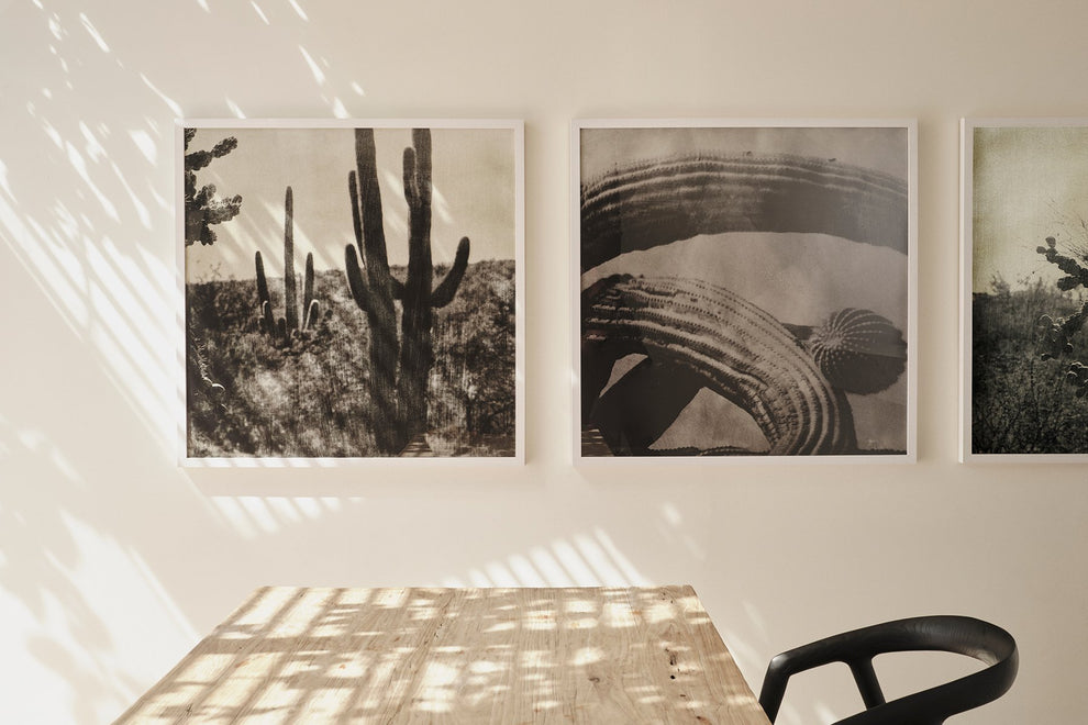 Cacti Series - Cactus Tunnel