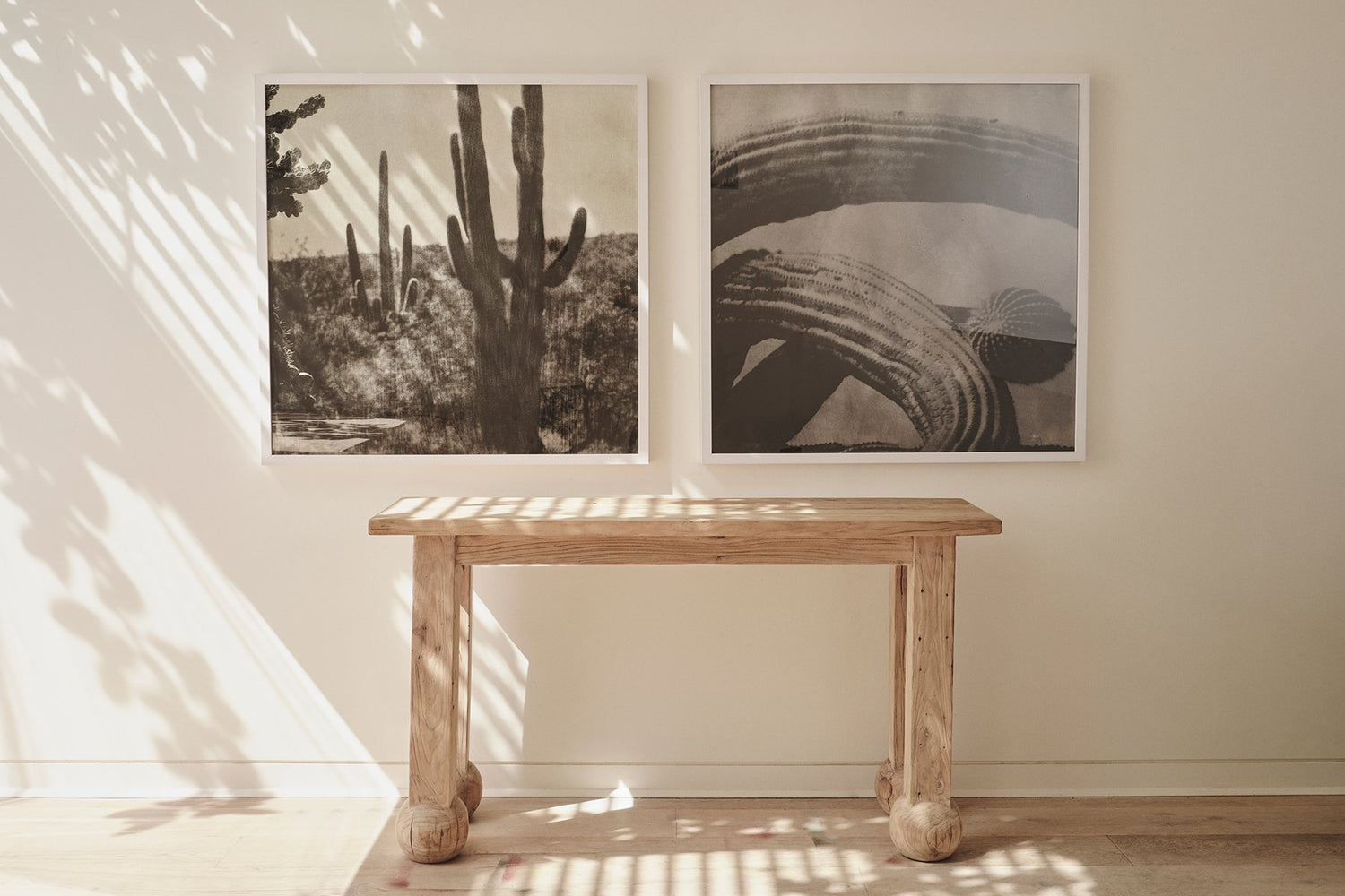 Cacti Series - Cactus Tunnel