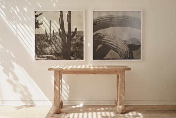Cacti Series - Cactus Tunnel