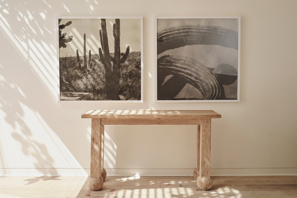 Cacti Series - Cactus Tunnel